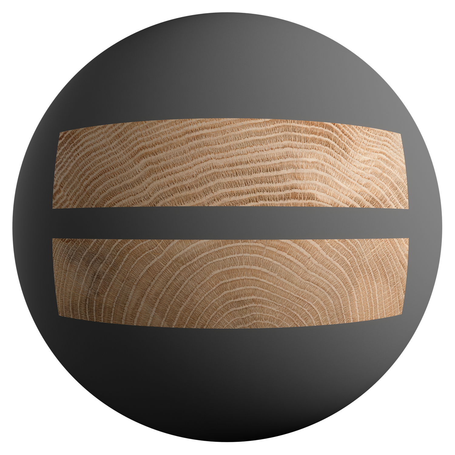 Seamless Oak Wood End grain  Texture