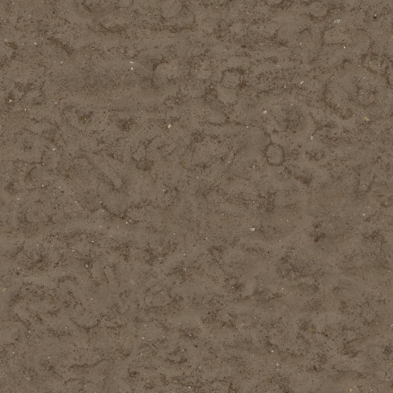 Seamless Soil Texture