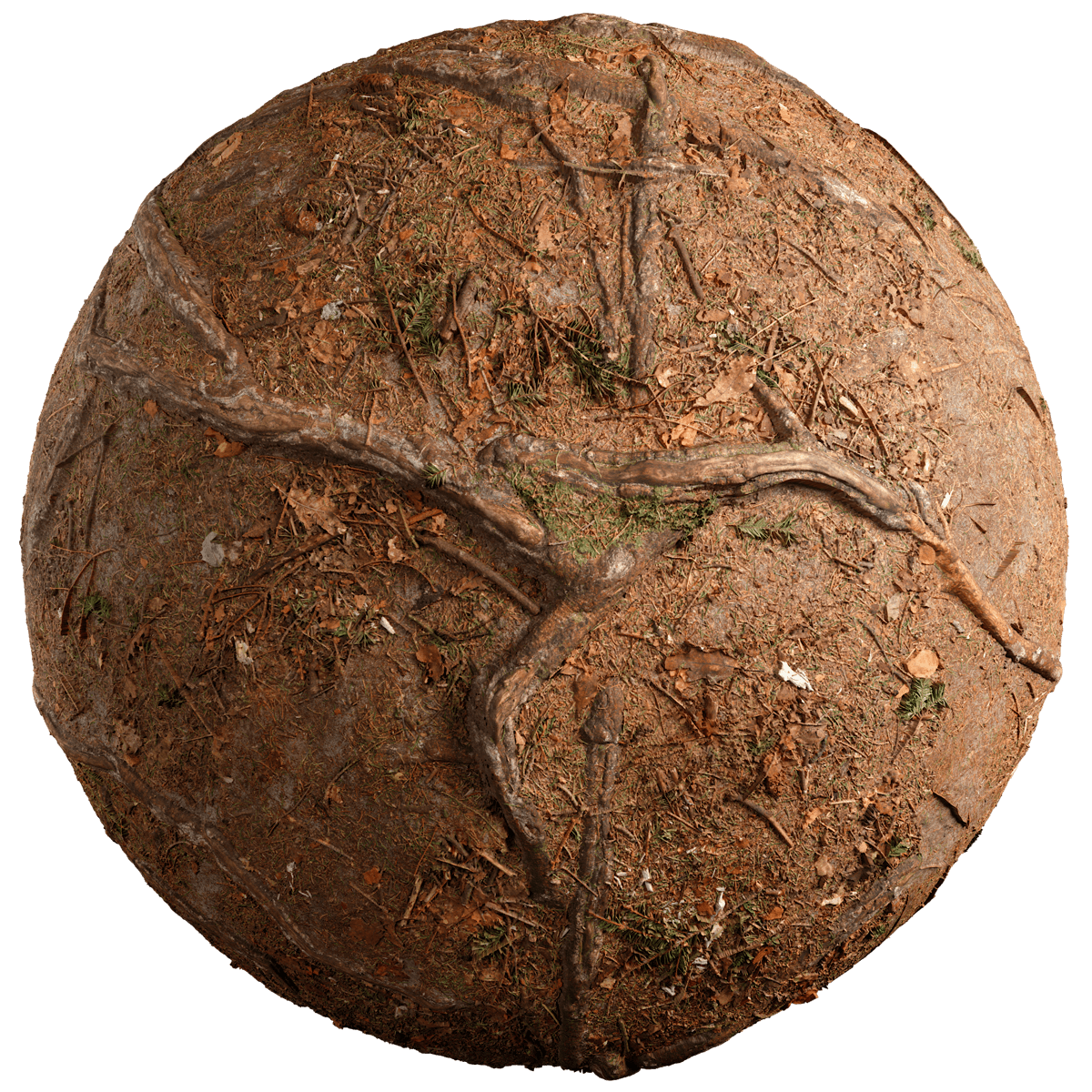 Seamless Forest Floor Texture