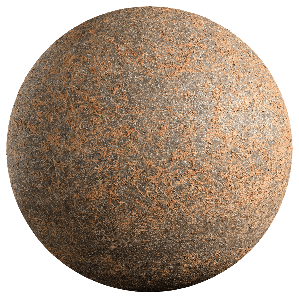 Seamless Asphalt Texture