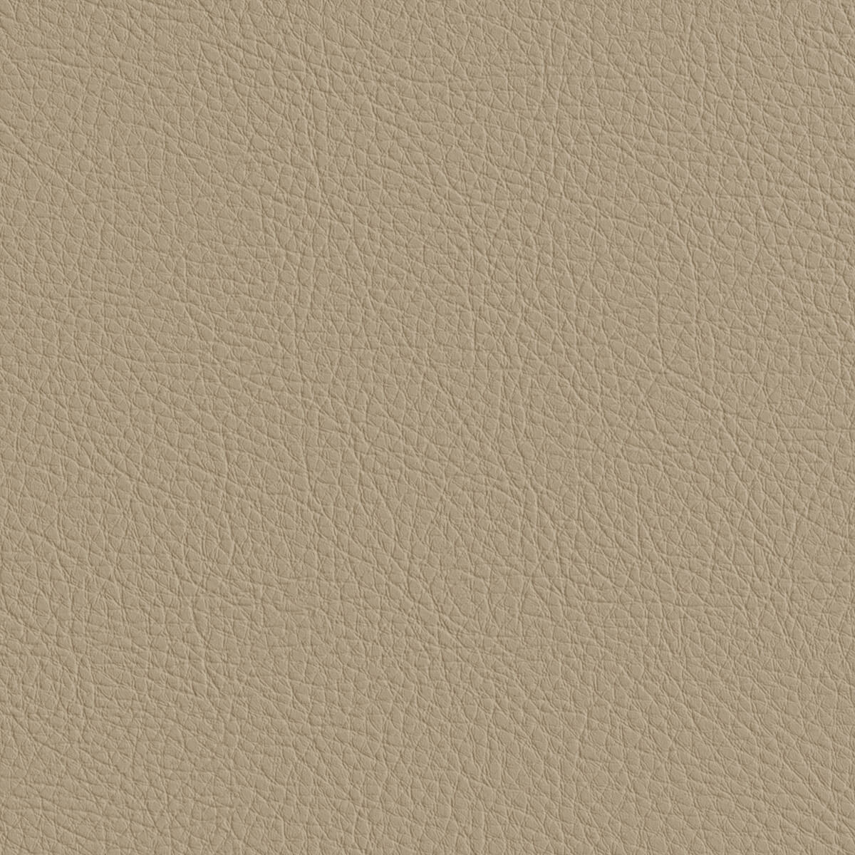 Premium Leather Texture for Game-Ready PBR