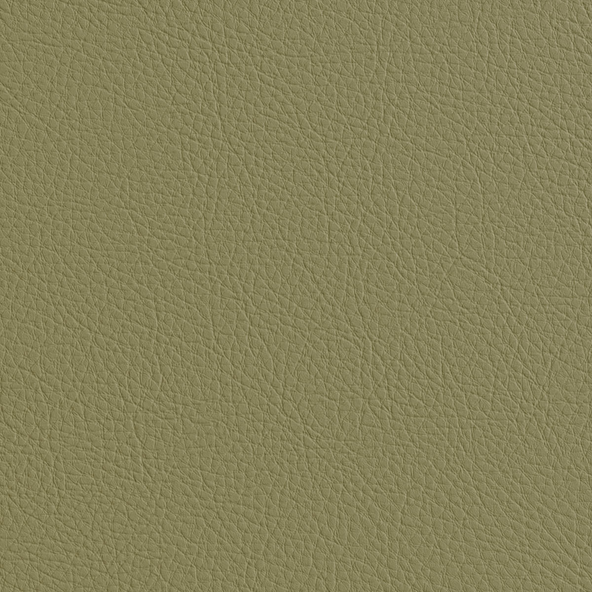 Premium Leather Texture PBR Seamless Material