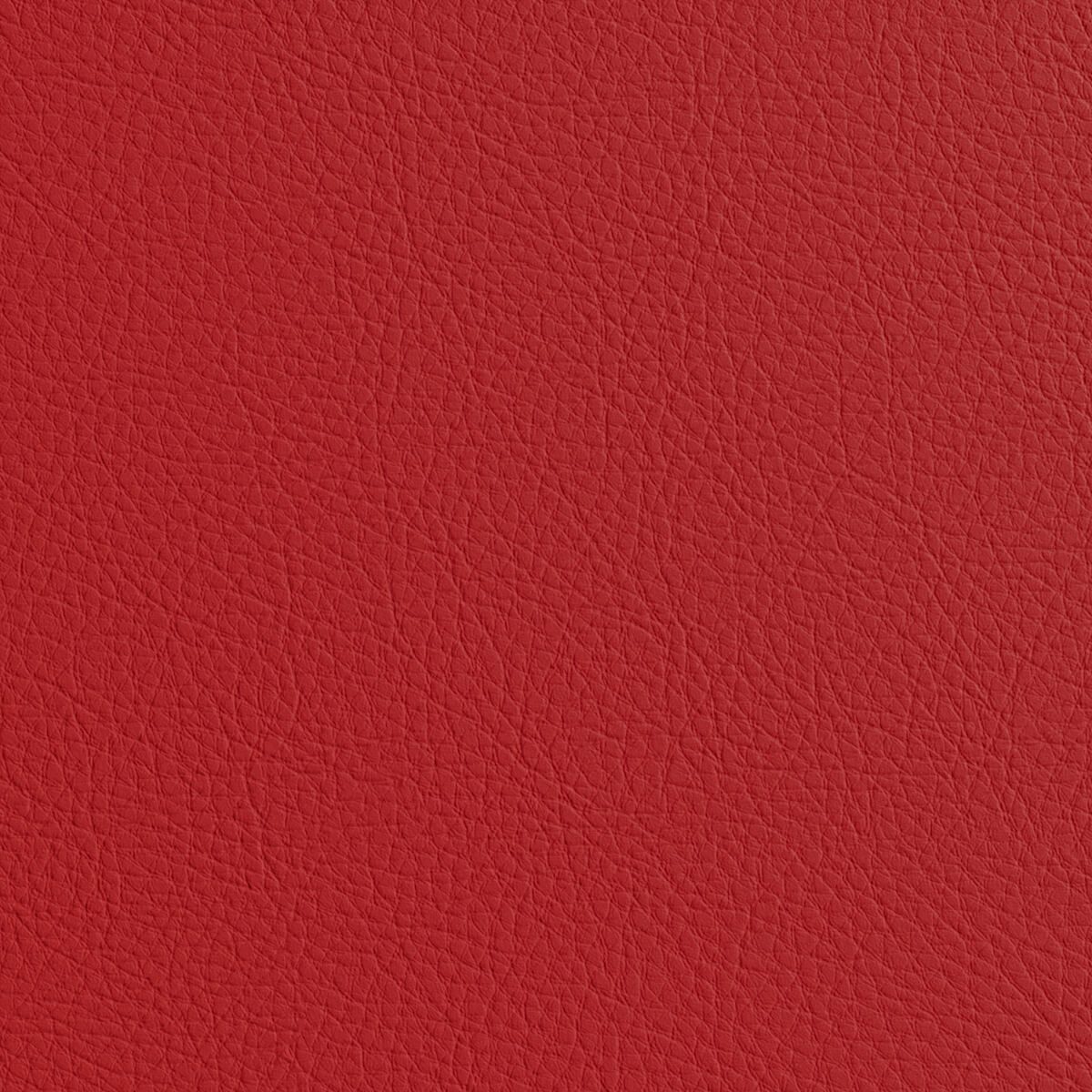 Premium Leather Material Texture