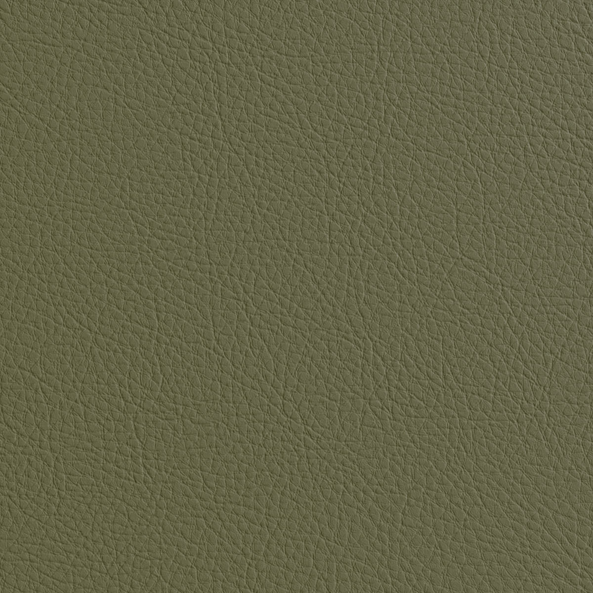 Premium Leather Material Texture - High Resolution