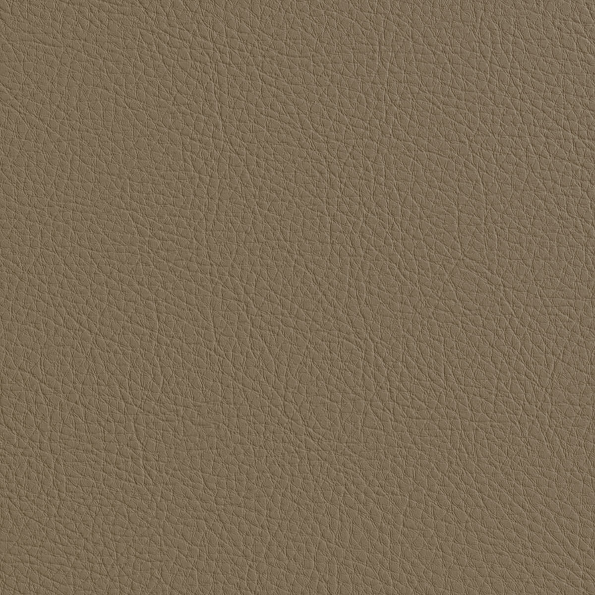 Premium Leather Material Texture for PBR